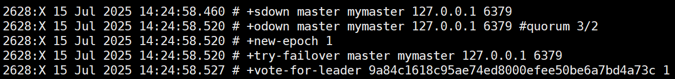 image-20250715164839378